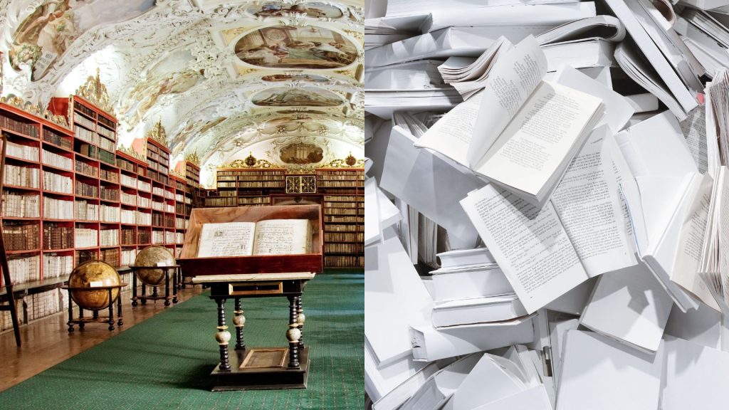 Nelea Vital Blog reset